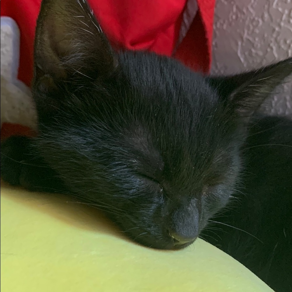 Meet your Posher, Jt